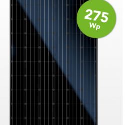 Canadian Solar 275 Wp Poly