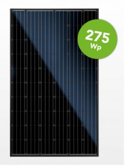 Canadian Solar 275 Wp Poly